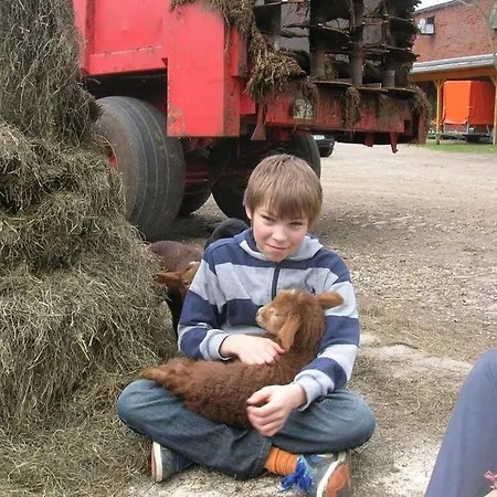 At The Organic Farm Angus-hof